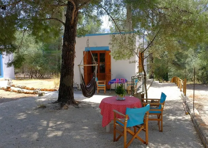 Tatil Evi Little House In Forest *